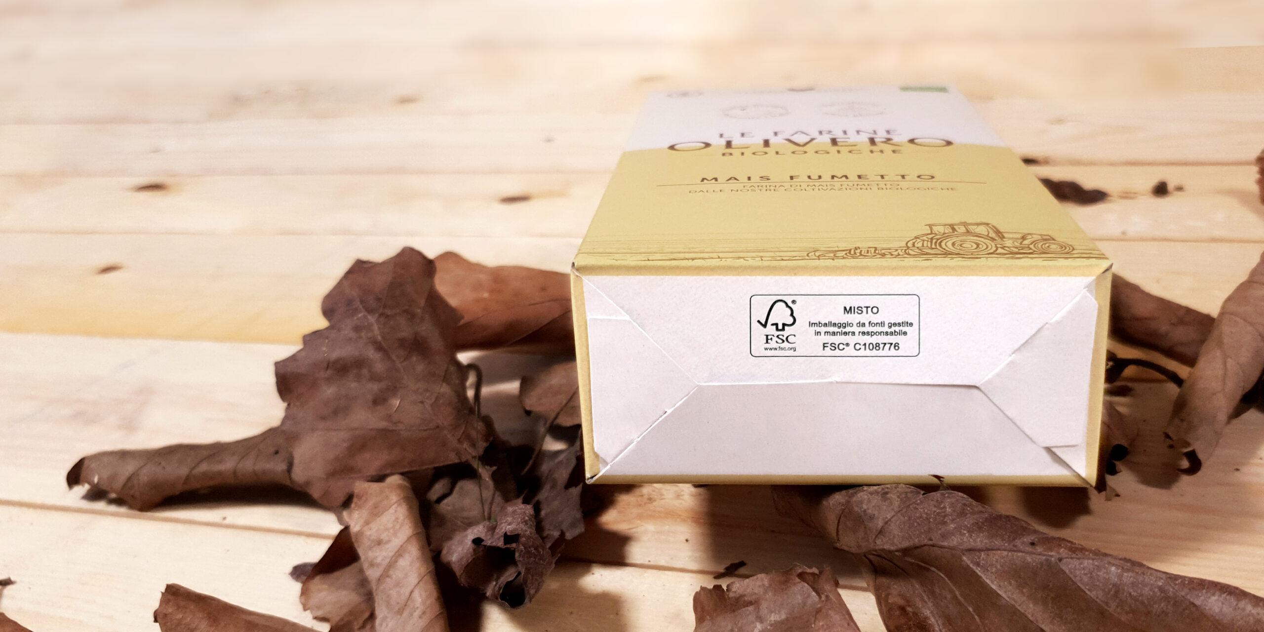 Giornata Internazionale delle Foreste | Martini Print&Pack Giornata Internazionale delle Foreste | Martini Print&Pack