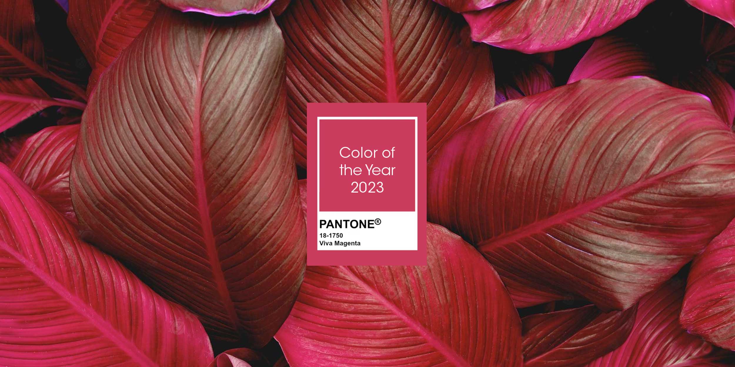 pantone-2023